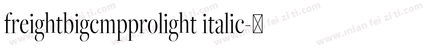 freightbigcmpprolight italic字体转换